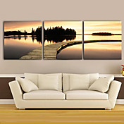 Stretched Canvas Art Sunset Waterside Set of 3