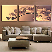 Stretched Canvas Art Floral Tender Orchid Set of 3