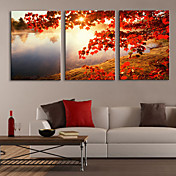 Stretched Canvas Print Art Landscape Tree by Lake Set of 3