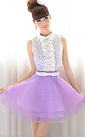 Women's Princess Look Lace Swing Dress