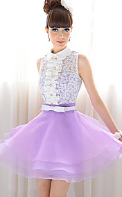 Women's Palace Style Swing Dress