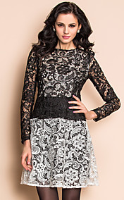 TS Black And White Low Waist Lace Dress