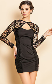 TS Sexy Lace Backless Bodycon Dress