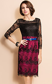 TS Charming Contrast Color Lace Dress With Belt