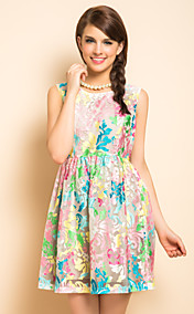 TS Organza Embroidery Sleeveless Slim Dress
