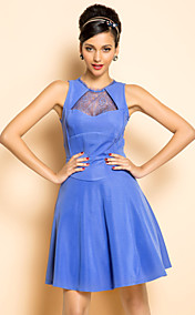 TS VINTAGE Lace Swing Dress