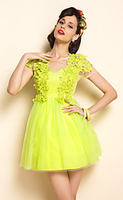 TS Simplicity Mesh Dress