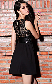 TS Sexy Lace Splice PU Dress