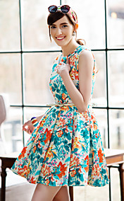 TS Flora Print Sleeveless Swing Pleats Dress