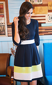TS Contrast Color Swing Dress