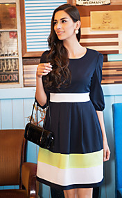 TS Contrast Color Swing Dress