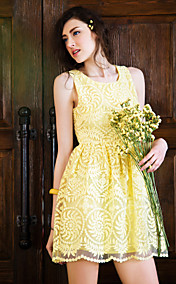 TS Organza Sleeveless Dress