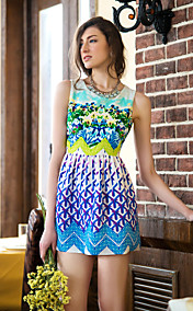 TS Flora Print Sleeveless Dress