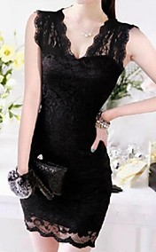 Women's Lace Sheath Dress