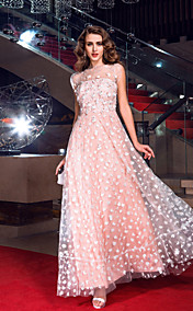 A-line Jewel Floor-length Tulle Evening Dress inspired by Cate Blanchett