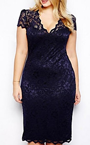Women's Plus Size Lace V-neck Bodycon Mini Dress