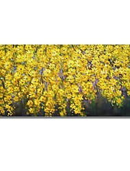 cheap -Oil Painting Hand Painted Horizontal Abstract Floral / Botanical Comtemporary Modern Stretched Canvas