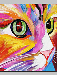 cheap -Oil Painting Handmade Hand Painted Wall Art Abstract Cat Colorful Animal Home Decoration Décor Stretched Frame Ready to Hang