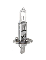10pcs Headlight FogLight H1 Halogen Bulb 12V 55W P14.5S