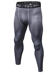 insport running tights