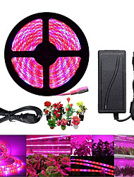 Details about   10/20/33 FT Cuttable LED Strip Light Indoor&Outdoor Waterproof Decorative 