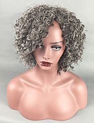 cheap -Gray Wigs for Women Synthetic Wig Afro Curly Kinky Curly Short Bob Side Part Wig Short Grey Synthetic Hair 14 Inch Women&#039;s Adjustable Heat Resistant Classic Silver Dark Gray