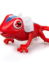 Kits para Coleção de Insetos