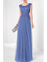 cheap -A-Line Elegant Formal Evening Dress Scoop Neck Sleeveless Floor Length Tulle with Pleats Lace Insert Appliques 2022