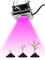 cheap -1pcs Full Spectrum COB Grow Light for Indoor Plants 60W High Luminous Efficiency Growing Lamp for Plants COB Phytolamp for Indoor Grow Box Greenhouses
