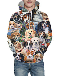 cheap -Men&#039;s Pullover Hoodie Sweatshirt Graphic Animal Hooded Daily 3D Print Basic Hoodies Sweatshirts  Long Sleeve Rainbow