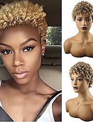 cheap -Short Afro Curly Wigs for Black Women Kinky Full Wig Synthetic Heat Resistant Cosplay Wigs Natural Looking Premium Wigs(Brown)