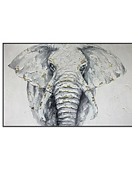 cheap -Oil Painting Handmade Hand Painted Wall Art Horizontal Modern Abstract Elephant Animal Home Decoration Decor Rolled Canvas No Frame Unstretched