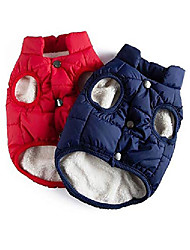 little dog jackets