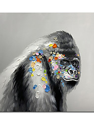 cheap -Oil Painting Handmade Hand Painted Wall Art Mintura Modern Abstract Animal Gorilla Kong Picture For Home Decoration Decor Rolled Canvas No Frame Unstretched
