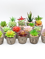 cheap -Succulent Potted Plants, Distressed Succulent Combinations, Creative Garden Decorations, Indoor Outdoor Decor