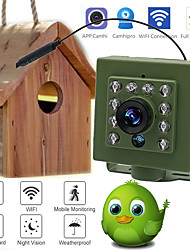 cheap -Green Wifi Bird Box Camera Kit Audio 1920P 1080P IR CUT Night Vision 940nm LED RTSP FTP Mini IP IPC Pet Nest Bird Watching Camhi