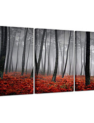 cheap -3 Pieces Canvas Prints Modern Beautiful Autumn Nature Scenery Painting Wall Art Black and White Trees Foggy Forest with Red Leaves On Ground Canvas Decor