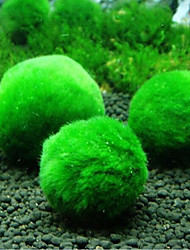 cheap -1 Artificial Aquarium Fake Seaweed Ball Plants Plastic Small Marimo Moss Balls for Fish Tank Decoration Realistic Turtle Tank Accessories Algae Ball for Decor