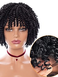 cheap -Gray Wigs for Black Women Afro Wigs Short Curly Wigs Kinky Curly Wig with Bangs Natural Hair Wigs