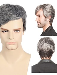 cheap -Silver Gray Wig Men Wig Short Straight Wig Silver Gray boys Male Wig Heat Resistant Synthetic Cosplay Daily Wear Wig
