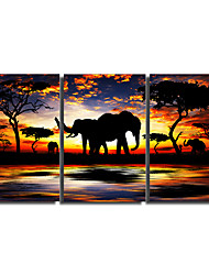 cheap -Print Stretched Canvas Prints - Animals Comtemporary Modern Three Panels Art Prints