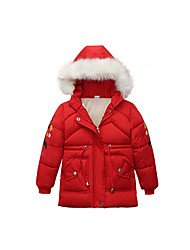 Jaquetas & Casacos para Meni...