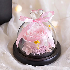Cheap Gifts Decorations Online Gifts Decorations For 2019