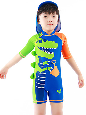 2t boys swimsuit