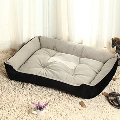 best place to buy cheap dog beds