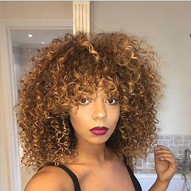 Synthetic Hair Wigs Kinky Curly Highlighted/Balayage Hair 