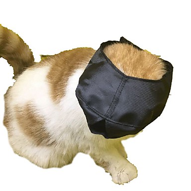 cheap pet grooming