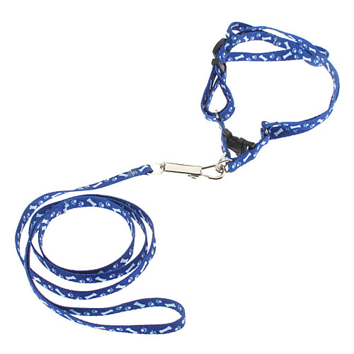 

Dog Leash Textile Blue Green