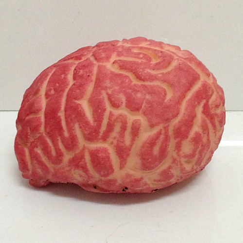 

Horrible Brain Halloween Props Haunted House Decoration