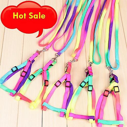 

Cat Dog Harness Leash Slip Lead Adjustable / Retractable Cosplay Nylon Rainbow